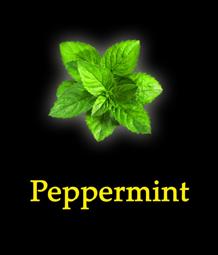 Табак New Yorker (средняя крепость) - Peppermint (Перечная мята) 100 гр