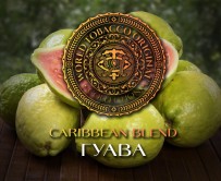 Табак WTO - Caribbean Blend (Гуава) CB27 20 гр