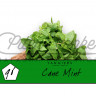Табак Tangiers Birquq - Cane Mint (Тростниковая Мята) 250 гр