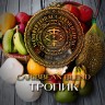 Табак WTO - Caribbean Blend (Тропик) CB19 20 гр
