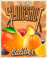 Табак Caliber Strong - Slingshot (Манго, Ягоды и Апельсин) 25 гр