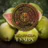 Табак WTO - Nicaragua (Гуава) N28 20 гр