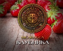 Табак WTO - Nicaragua (Клубника) N09 20 гр
