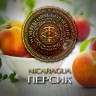 Табак WTO - Nicaragua (Персик) N21 20 гр