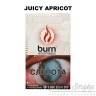 Табак Burn - Juicy Apricot (Спелый сладкий абрикос) 100 гр